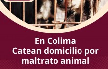 En ColimaCatean domicilio por maltrato animal
