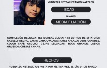 Protocolo Estatal Alerta Alba