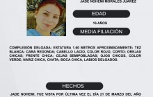 Protocolo Estatal Alerta Alba